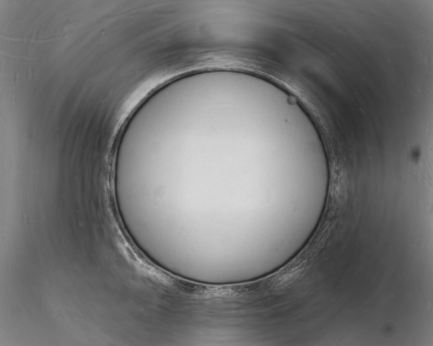 X0000116131094200912141103