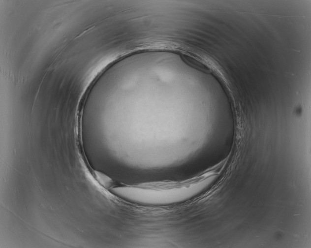 X0000116131095200912141103