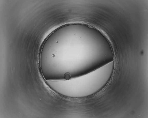 X0000116131101200912141103