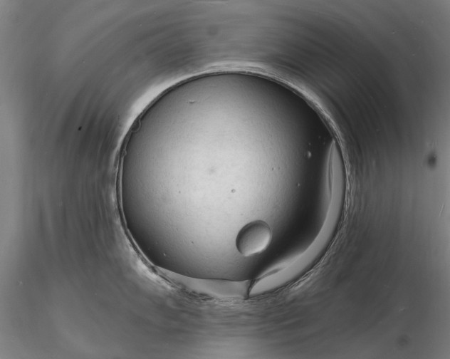 X0000116131102200912141103