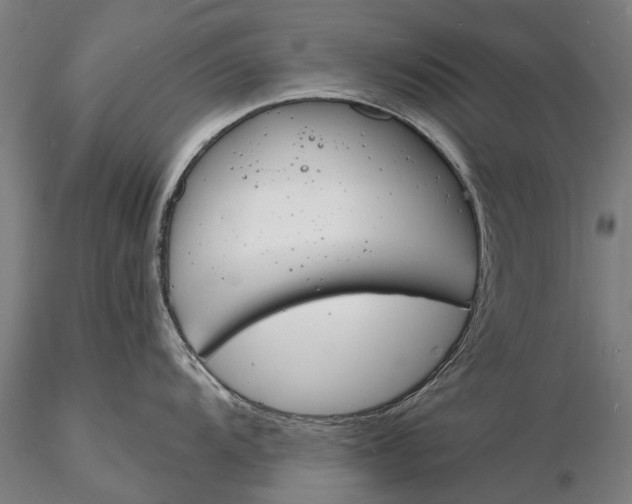 X0000116131104200912141103