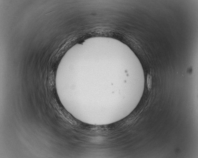 X0000116131107200912141102