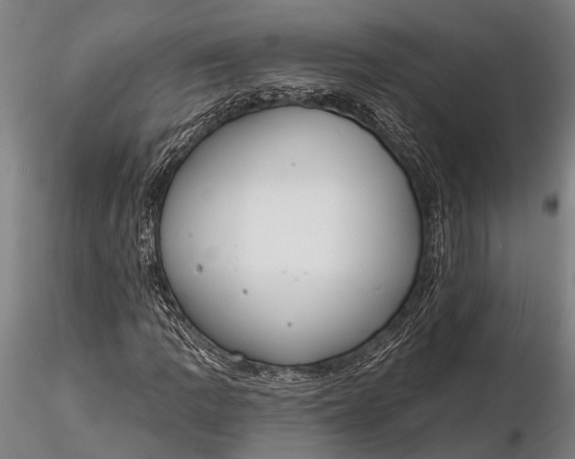 X0000116131109200912141102