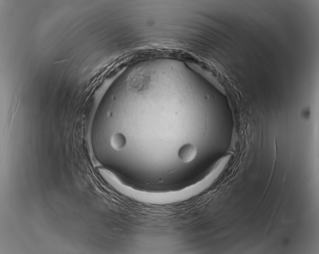 X0000116131110200912141102