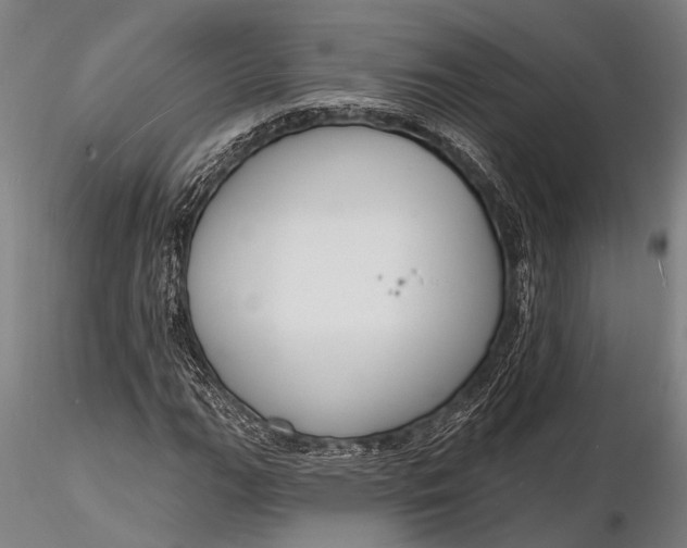X0000116131111200912141102
