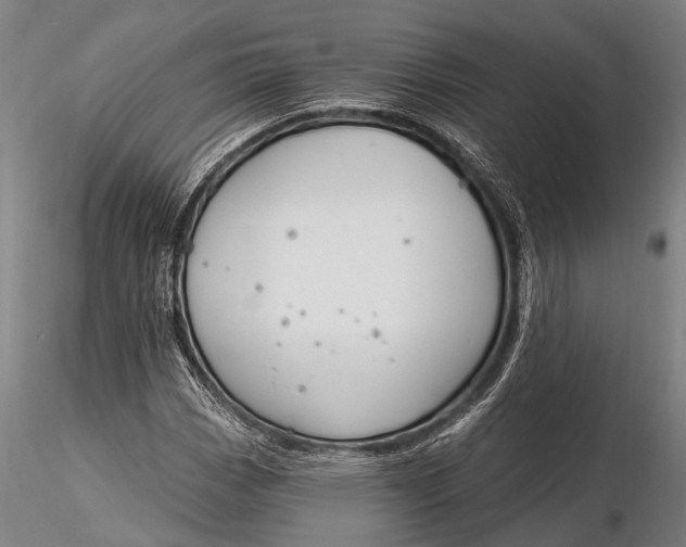 X0000116131113200912141102