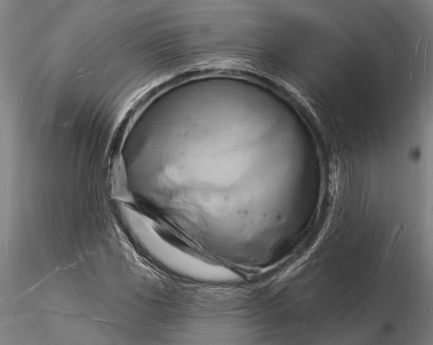 X0000116131117200912141102