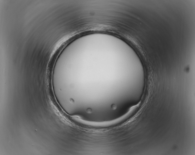 X0000116131122200912141102