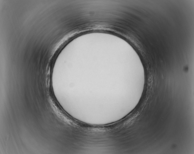X0000116131126200912141103