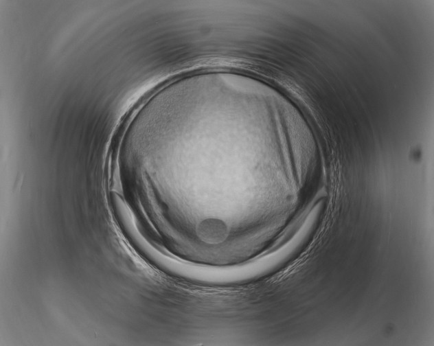 X0000116131127200912141103