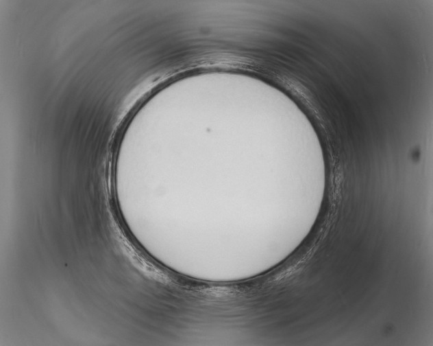 X0000116131130200912141103