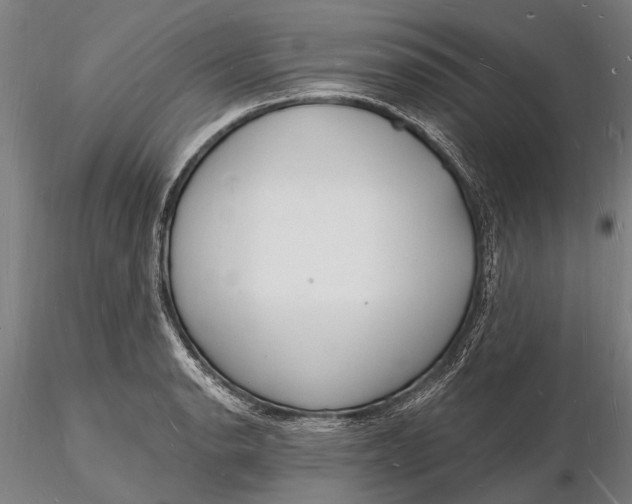 X0000116131134200912141103