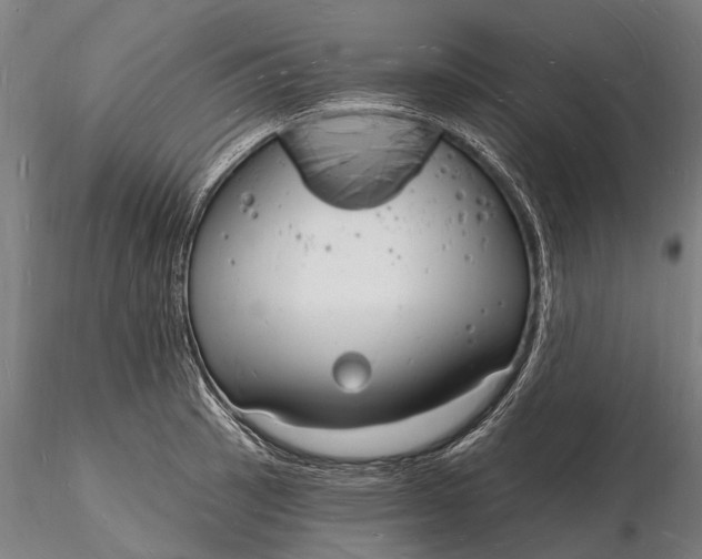 X0000116131137200912141103