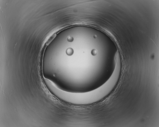 X0000116131138200912141103