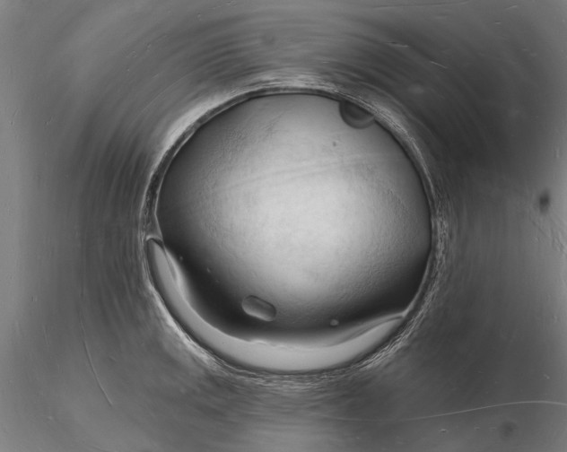 X0000116131141200912141103