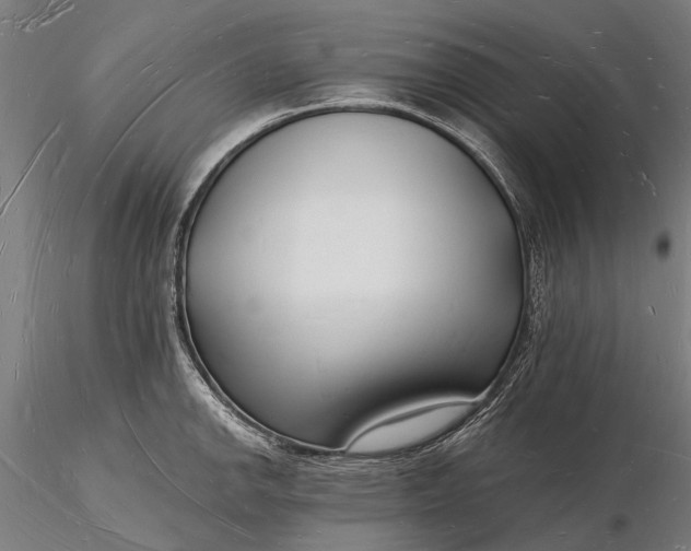 X0000116131142200912141103