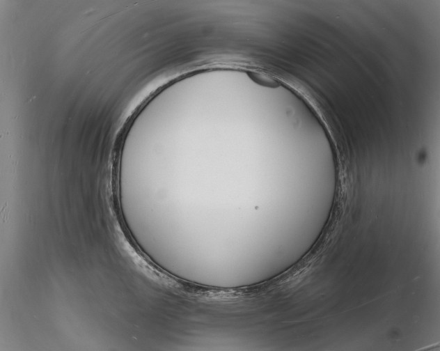 X0000116131147200912141103