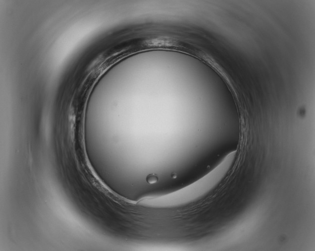 X0000116131151200912141103