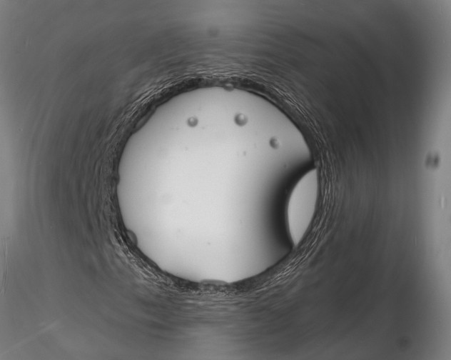 X0000116131153200912141102