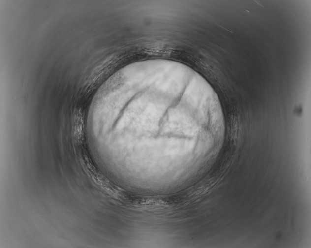 X0000116131154200912141102