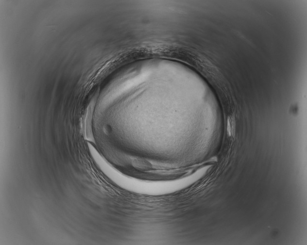 X0000116131155200912141102