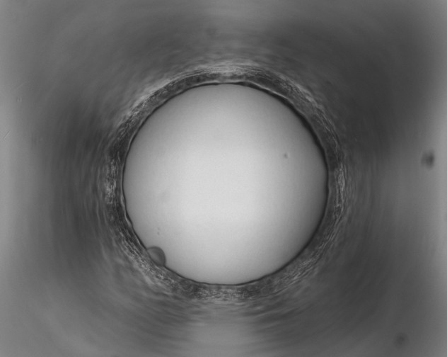 X0000116131158200912141102