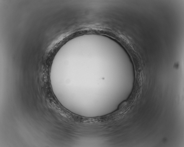 X0000116131159200912141102