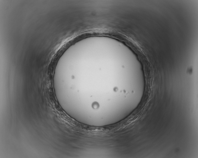 X0000116131160200912141102