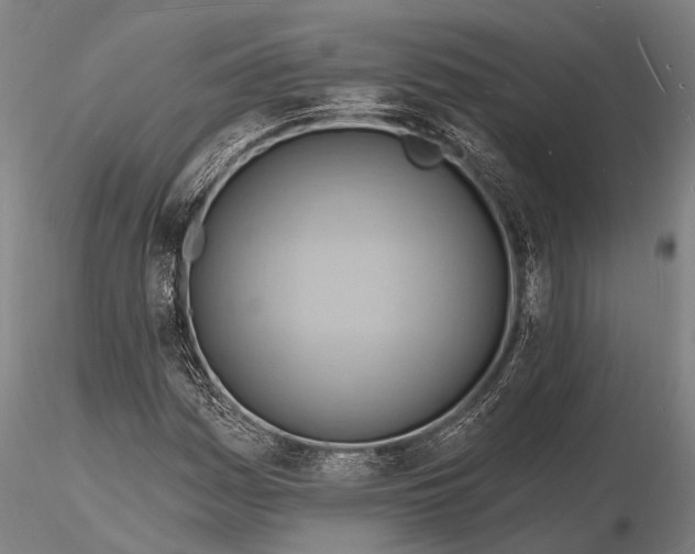 X0000116131161200912141102
