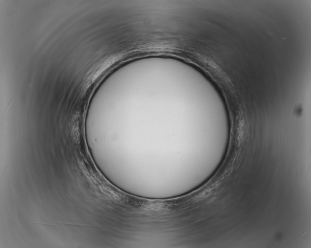 X0000116131162200912141102