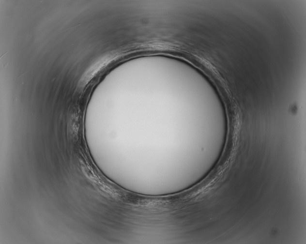 X0000116131163200912141102