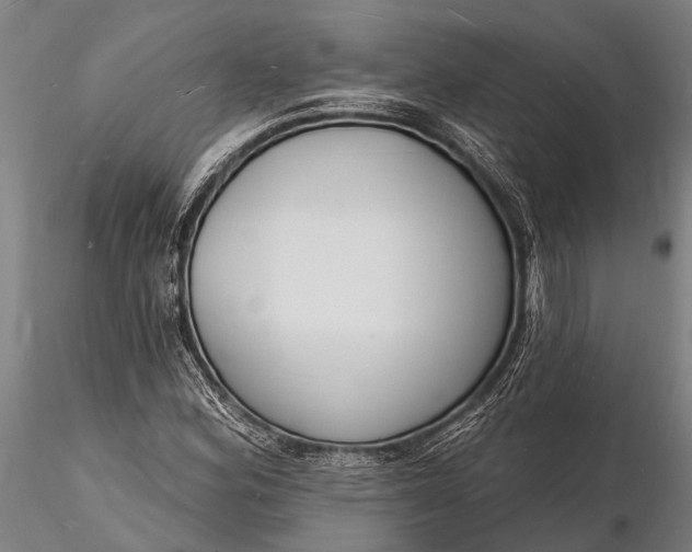 X0000116131164200912141102