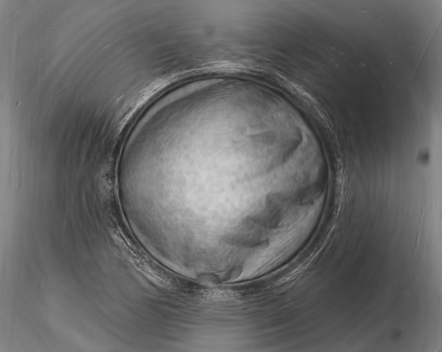 X0000116131170200912141102