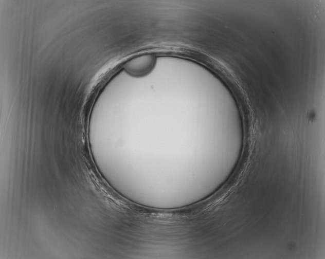 X0000116131172200912141102