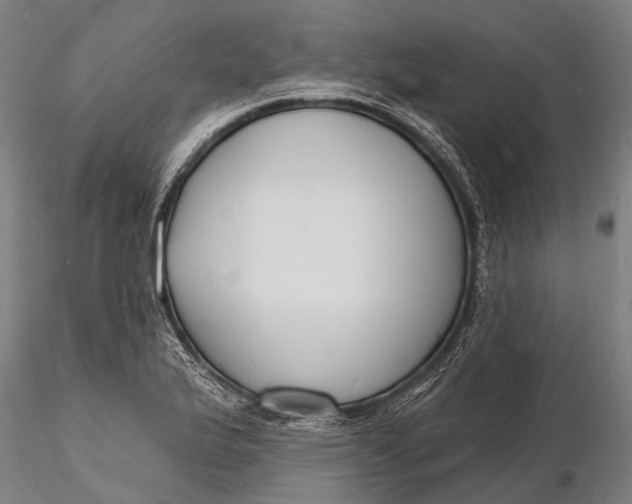 X0000116131175200912141102