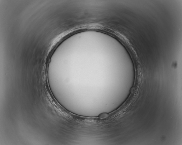 X0000116131176200912141102