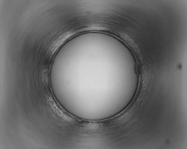 X0000116131177200912141102