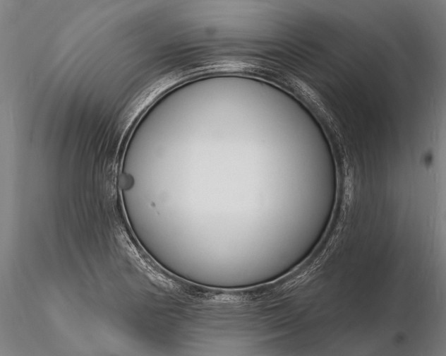 X0000116131178200912141102