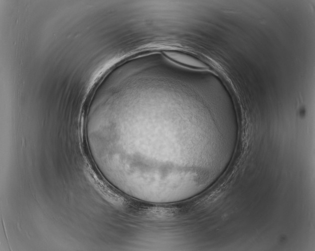 X0000116131179200912141102