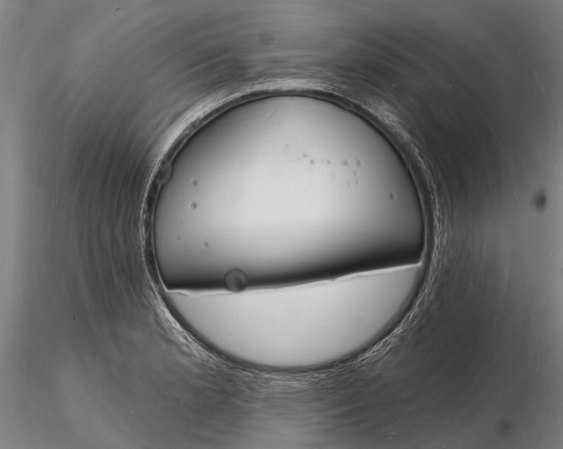 X0000116131181200912141102