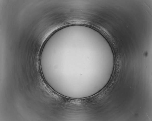 X0000116131182200912141102