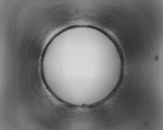 X0000116131183200912141102