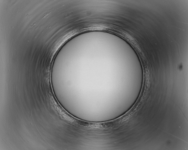 X0000116131186200912141102
