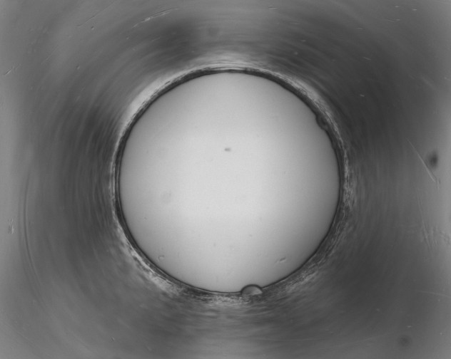 X0000116131191200912141102