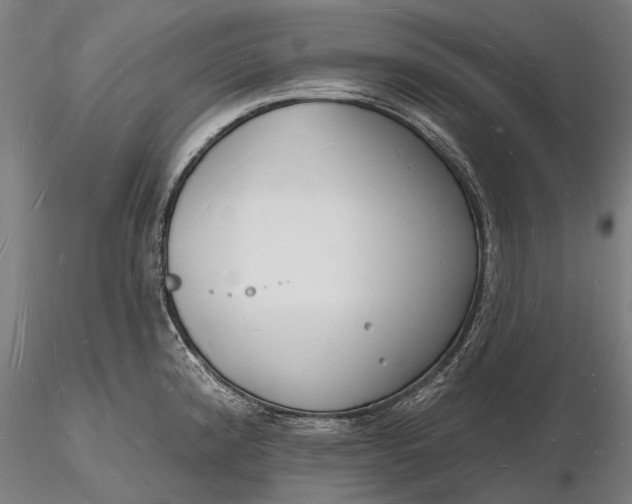 X0000116131192200912141102
