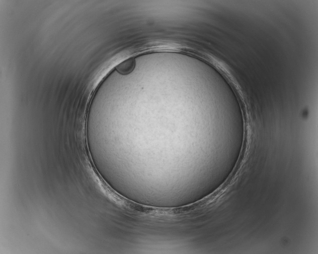 X0000116131194200912141102