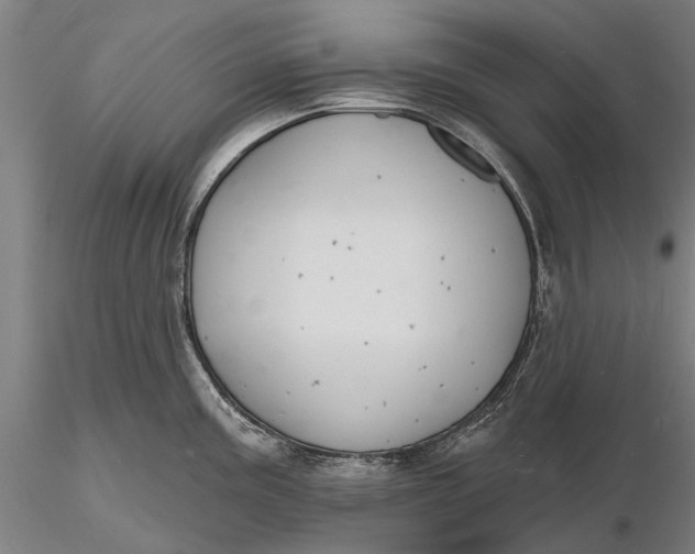 X0000116131195200912141102