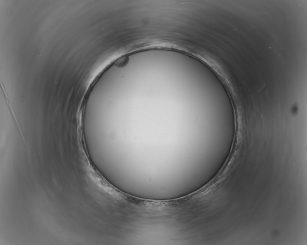 X0000116131198200912141102