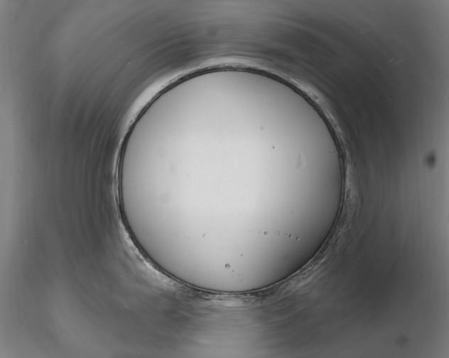 X0000116131199200912141102