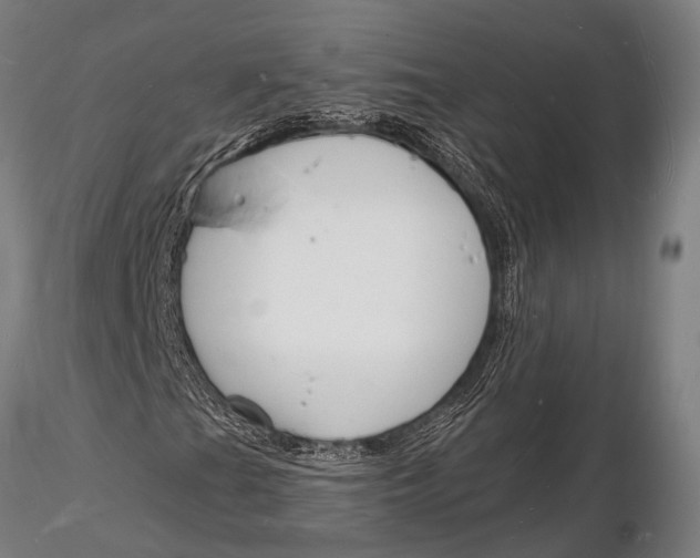 X0000116131201200912141101